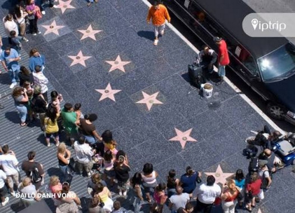Đại lộ Danh vọng Hollywood: trải nghiệm và cách tham quan