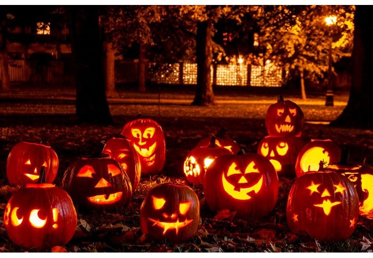 Bí ngô Halloween và khung cảnh mùa thu lá vàng ở Mỹ