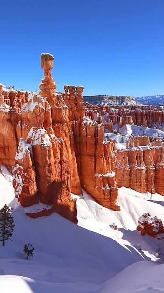 Thor's Hammer from Navajo Loop Trail in Bryce Canyon (2/21/26) | See  America's Best | Facebook