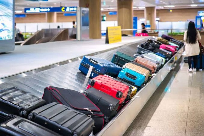 Khu vực lấy hành lý Baggage Claim tại sân bay Mỹ với chó nghiệp vụ kiểm dịch