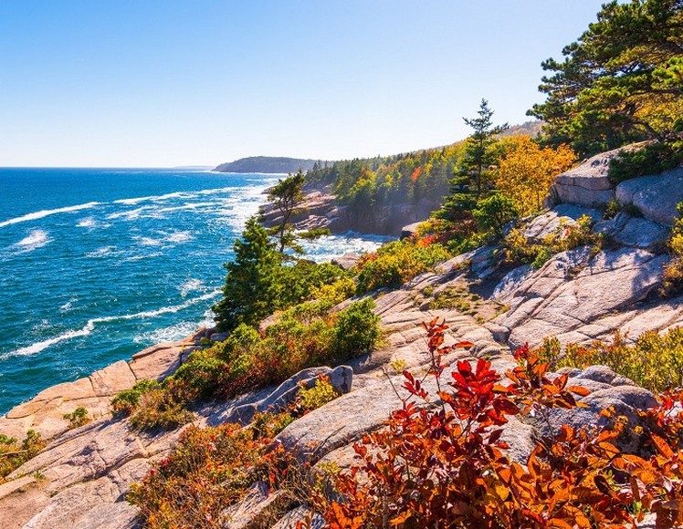  Đỉnh Cadillac Mountain tại Vườn quốc gia Acadia, Maine, nhìn xuống rừng lá đỏ vàng và bờ biển