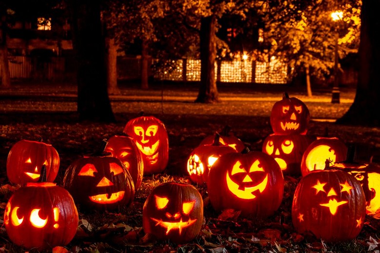  Bí ngô Halloween và khung cảnh mùa thu lá vàng ở Mỹ