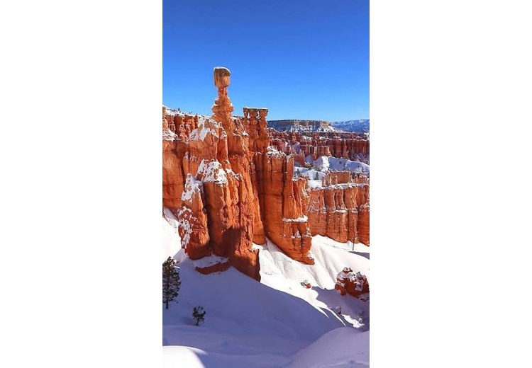 Thor's Hammer from Navajo Loop Trail in Bryce Canyon (2/21/26) | See  America's Best | Facebook