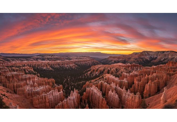 Toàn cảnh Bryce Amphitheater nhìn từ Inspiration Point vào sáng sớm