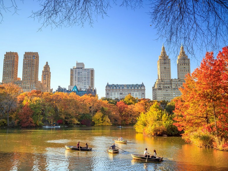Central Park mùa thu với lá vàng và skyline phía xa
